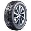 Sunny Wintermax NW211 315/35 R20 110V