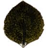FOGLIA HYDRAGENA 17CM RIVIERA FOREST