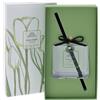 PROFUMAMBIENTE TULIP VERDE 100ML VETRO
