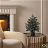 PINO ARGENTATO C/VASO H45