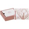 Hervit box cartoncino Tulip rosa 10x10x3cm