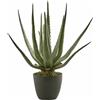 Aloe Chic Artificiale con Vaso H45 cm | EDG - Enzo De Gasperi