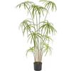 PAPIRO CHIC C/VASO H120