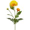 DALIA RAMO X2 C/FOGLIE C/BOCCIOLO H70
