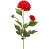 DALIA RAMO X2 C/FOGLIE C/BOCCIOLO H70