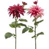 DALIA RAMO X2 C/FOGLIE C/BOCCIOLO H80