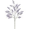 LAVANDA RAMO H80