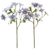 ANEMONE RAMO C/FOGLIE 2ASS H56