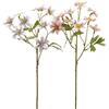 ANEMONE RAMO C/FOGLIE 2ASS H56