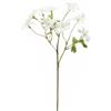 ANEMONE RAMO C/FOGLIE 2ASS H56