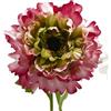 ANEMONE C/FOGLIE 3ASS. H53