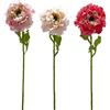 ANEMONE C/FOGLIE 3ASS. H53