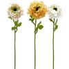 ANEMONE C/FOGLIE 3ASS. H53