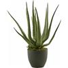 Aloe Chic Artificiale H55 con Vaso Verde - EDG Enzo De Gasperi