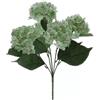 CESPUGLIO 6 ORTENSIE L.38CM VERDE