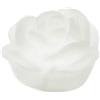 ROSA VETRO BIANCO SATINATO LUCE LED 10CM