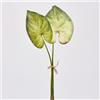 Set 2 Pezzi Pianta Artificiale Singonium Rex H52 cm - EDG Enzo De Gasperi