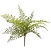 Felce Olis Cespuglio H 45 cm Verde - EDG Enzo De Gasperi