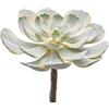 Pianta Succulenta Artificiale Aeonium Sunburst D16 cm White Green - Enzo De Gasperi (EDG)