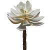 Pianta Succulenta Artificiale Aeonium Sunburst - EDG Enzo De Gasperi