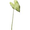Pianta Artificiale Singonium Rex Foglia Piccolo H45 cm - EDG Enzo De Gasperi