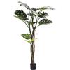 Monstera Slim H.180 con Vaso - EDG Enzo De Gasperi