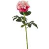 PEONIA REAL RAMO H72