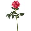 PEONIA REAL RAMO H72