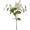 LILLA' RAMO C/FOGLIE H66