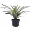 Agave Succulent Artificiale H45 con Vaso - EDG Enzo De Gasperi