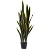 SANSEVERIA WEST C/VASO H105