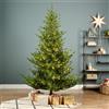 Albero Norway Spruce Micro LED 210 cm - Kaemingk