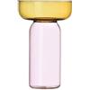 Vaso Cilindrico Medio Aura Ambra-Rosa - Ichendorf Milano