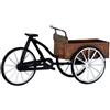 CARRY BIKE