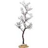MORNING DEW TREE, SMALL
