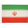 AZ FLAG Bandiera Iran 45x30 cm Iraniana Poliestere Leggero Cordini | Uso interno bandiera decorativa ایران doppie cuciture e bordi rinforzati