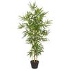Bizzotto Pianta Bamboo con vaso H130cm di Bizzotto
