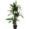 Bizzotto Pianta Dracaena con vaso 65 Foglie H110cm di Bizzotto