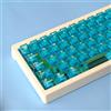 Sumgsn Set di 114 copritasti trasparenti con profilo Cherry, set adatto per tastiera meccanica Switch Cherry Mx, colore blu trasparente