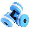 Wakects Set di 2 Manubri per Acquagym in Schiuma, Galleggianti per Fitness e Bodybuilding, Blu