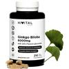 HIVITAL Ginkgo Biloba 6000 mg capsule 210 St