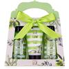Accentra Set doccia Accentra OLIVE per donna in elegante confezione regalo 1 St