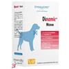 DYNAMOPET SRL DINAMIC MEDIUM 20 STICK DA 10 G