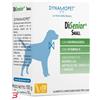 DYNAMOPET SRL DISENIOR SMALL 10 STICK DA 10 G