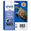 Originale Epson T1579