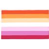 AZ FLAG Bandiera Orgoglio lesbica tramonto 90x60 cm 2 Occhielli