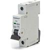 Aigostar Interruttore automatico magnetotermico modulare 1P 63A Aigostar