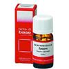 ERBORISTERIA MAGENTINA Srl ZENZERO Olio Ess.10ml