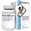 DDFARMA SRL Legart Maxi 60 Compresse 2 G