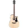 Ibanez Acoustic guitar / V40CEOPN Standard